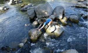 water lebanon