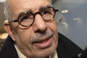 egypt anti gov protests -ElBaradei